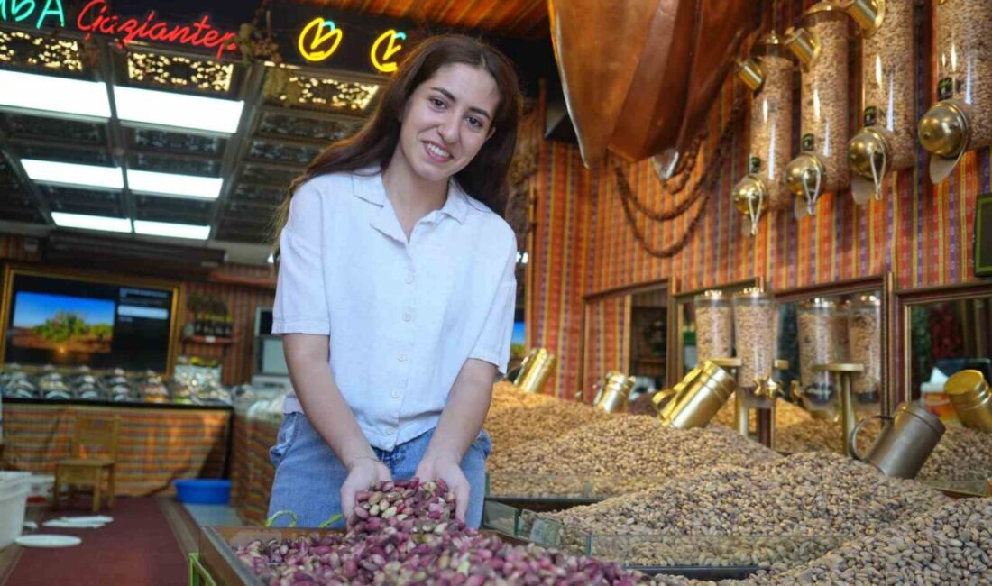 Gaziantep’te hasadına başlanan taze Antep fıstığı tezgahlarda yerini aldı. Gaziantep’te