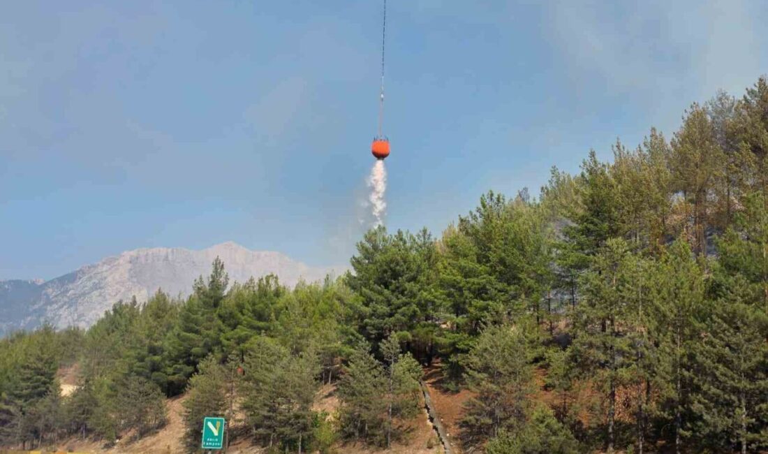 Adana’nın Pozantı ilçesinde otoyolda yanan aracın sebep olduğu orman yangını,