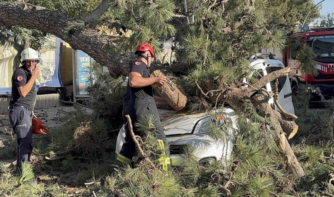 Kocaeli’de etkili olan şiddetli rüzgarda seyir halindeki hafif ticari aracın