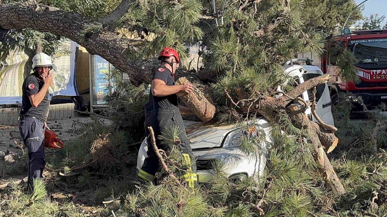 Kocaeli’de etkili olan şiddetli rüzgarda seyir halindeki hafif ticari aracın
