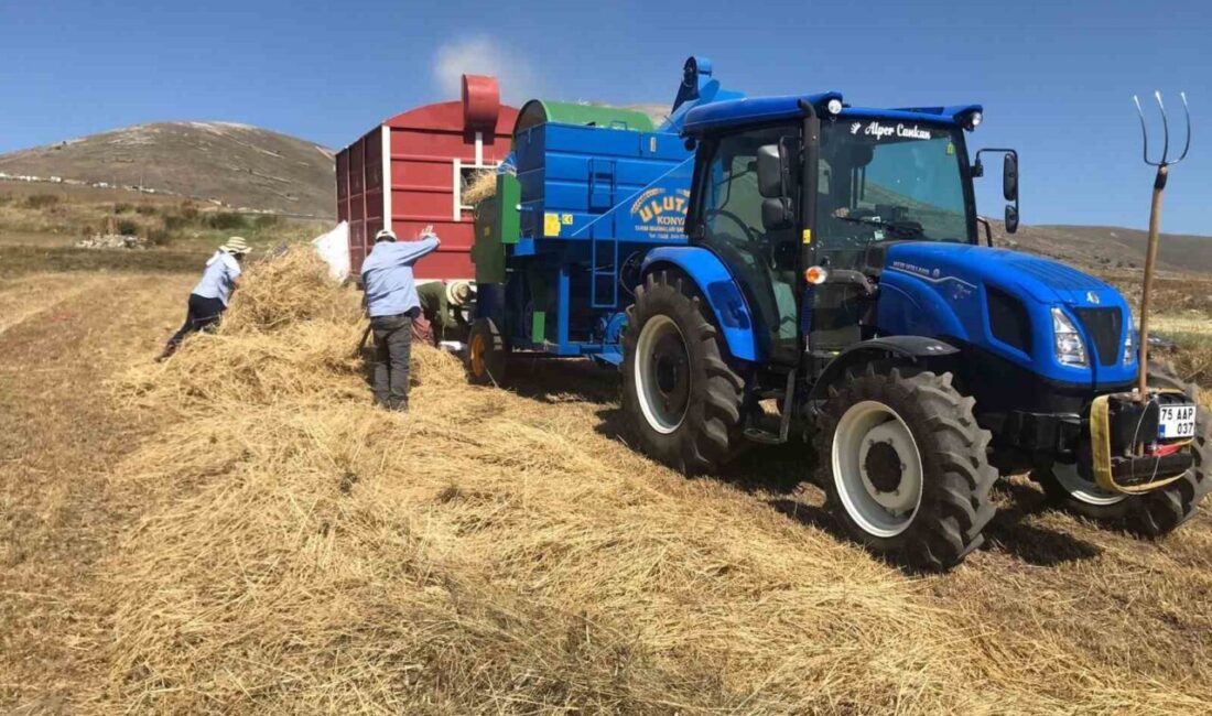 Ardahan’ın Damal ilçesinde çiftçilerin patoz mesaisi başladı. İlçeye bağlı Seyitören