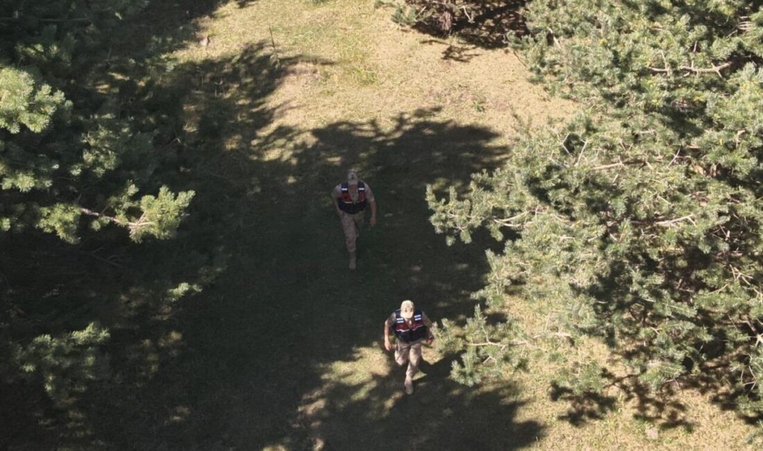 Ardahan’da jandarma ekipleri, yangın riski nedeniyle ormanlık alanlarda devriye görevi