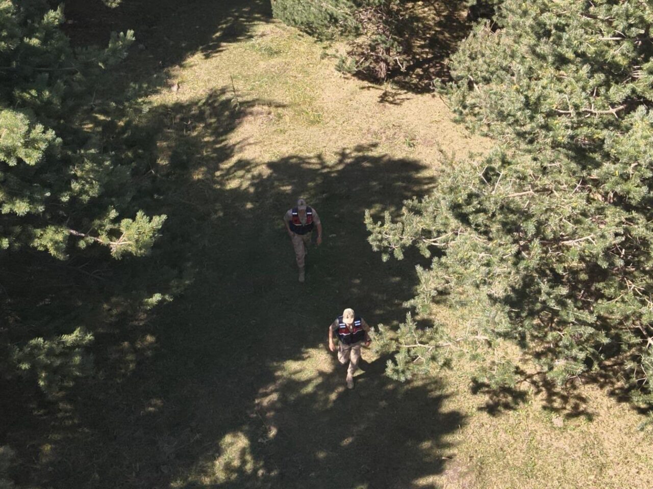 Ardahan’da jandarma ekipleri, yangın riski nedeniyle ormanlık alanlarda devriye görevi