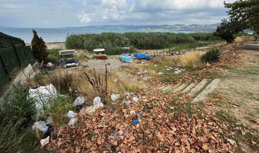 Yaz aylarında piknikçilerin uğrak noktası olan Sapanca Gölü’nün yanı başındaki