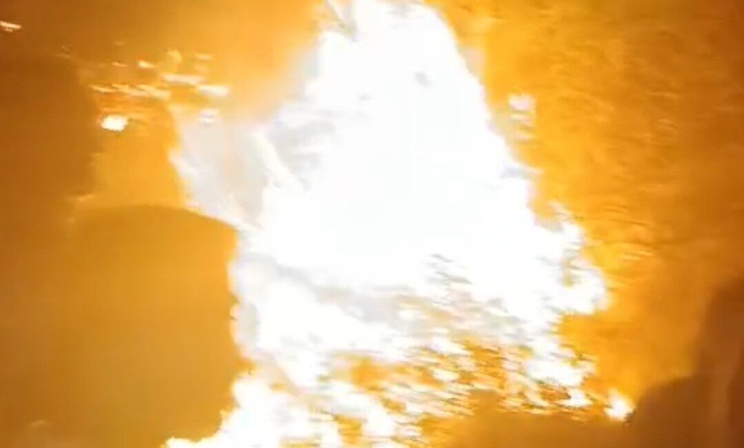 Arnavutköy’de ormanlık alanda çıkan yangın, ekiplerin hızla müdahalesiyle büyümeden söndürüldü.