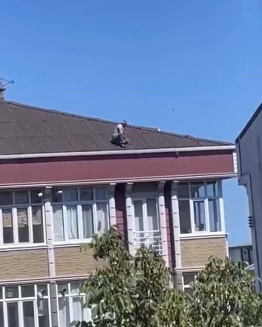 İstanbul’un Arnavutköy ilçesinde bir binanın çatısına çıkan şahsın hiçbir güvenlik