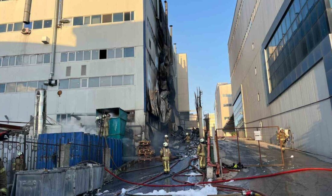 Arnavutköy’de 6 altı katlı, içerisinde kağıt ve cam fabrikası bulunan