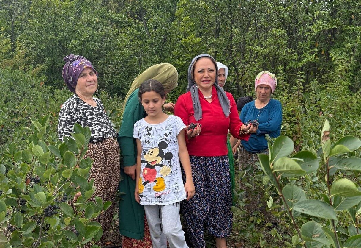Sağlık Turizmi Konfederasyonu (SATKOF) Genel Başkanı Prof. Dr. Aysun Bay,
