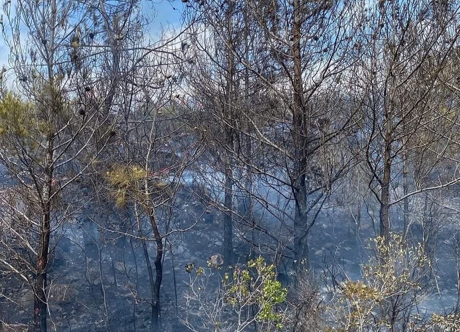 Hatay’ın Arsuz ilçesinde çıkan orman yangını, ekiplerin havadan ve karadan