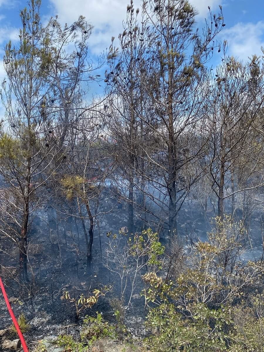 Hatay’ın Arsuz ilçesinde çıkan orman yangını, ekiplerin havadan ve karadan