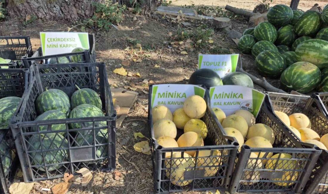 Tar” adlı yeni tarım modeliyle, çiftçilere alım garantisi sunularak yerli