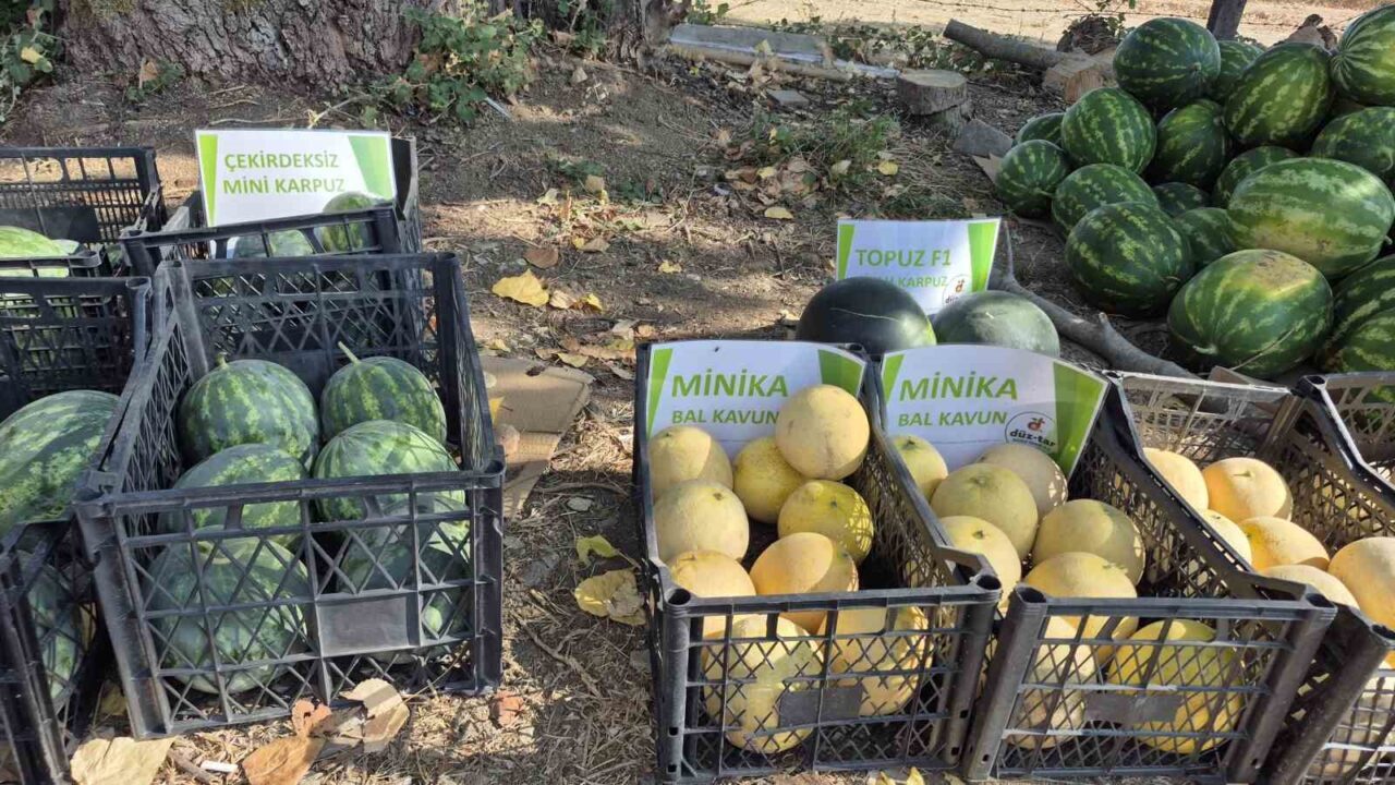 Tar” adlı yeni tarım modeliyle, çiftçilere alım garantisi sunularak yerli
