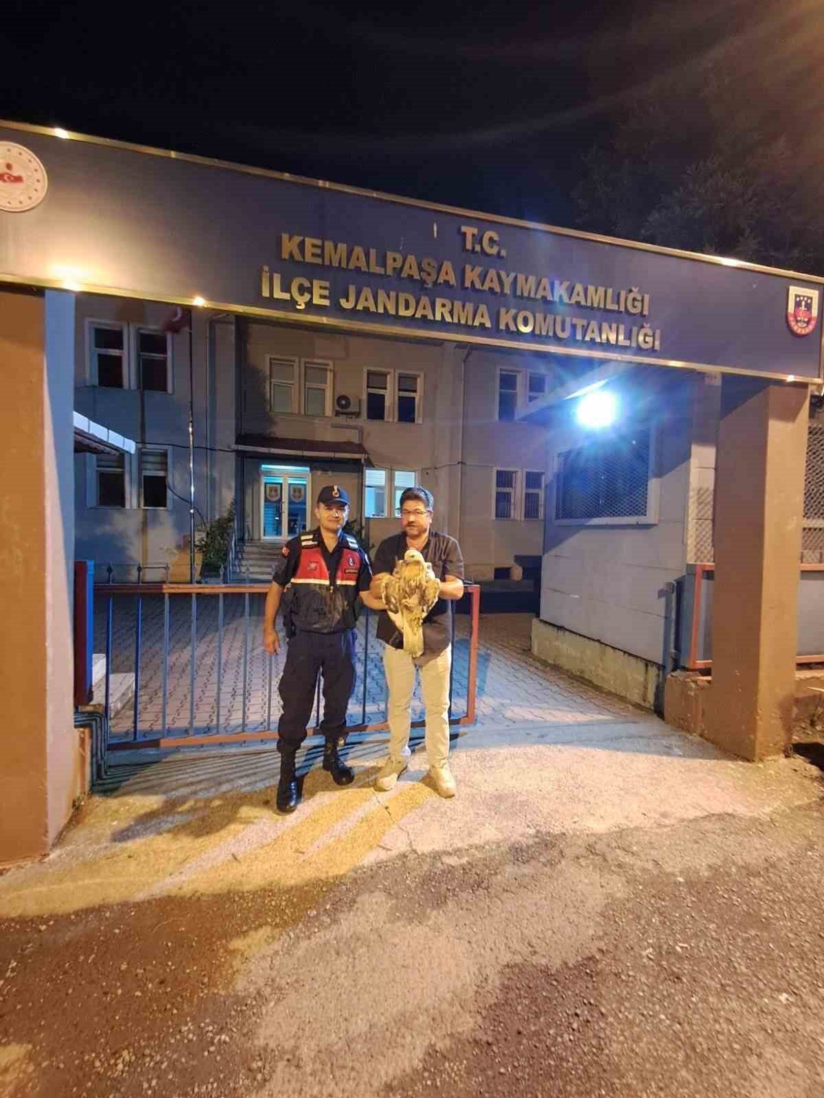 Artvin’in Kemalpaşa ilçesinde devriye görevi yürüten jandarma ekipleri tarafından ayağından