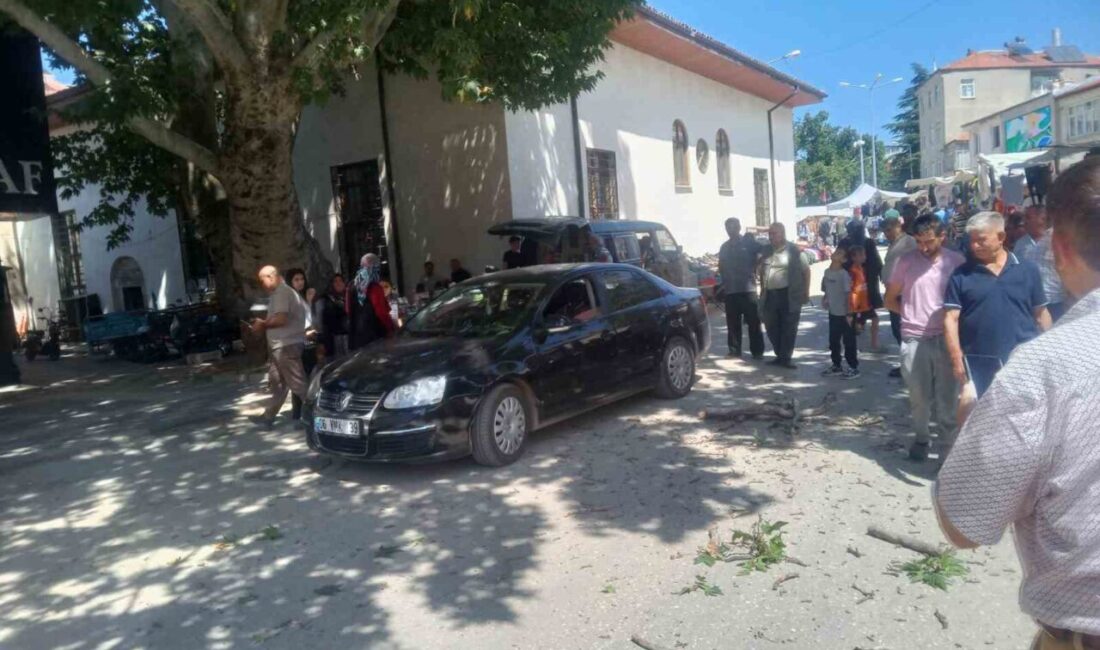 Isparta’nın Şarkikaraağaç ilçesinde asırlık çınar ağacının dalı koparak seyir halindeki