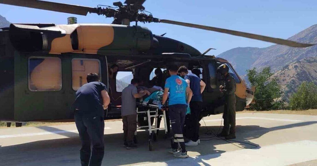 VAN (İHA) – Hakkari’nin Şemdinli Devlet Hastanesi’nde tedavi gören hamile