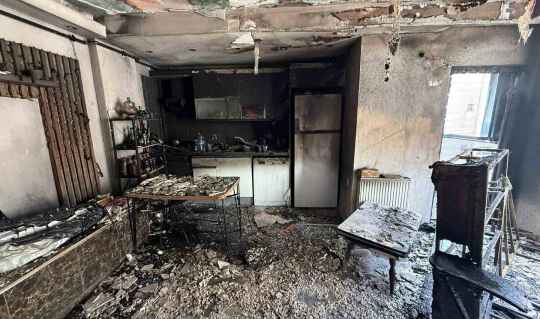 Avcılar’da bir evde çıkan yangında Raşo isimli kedi, bağrışları ile