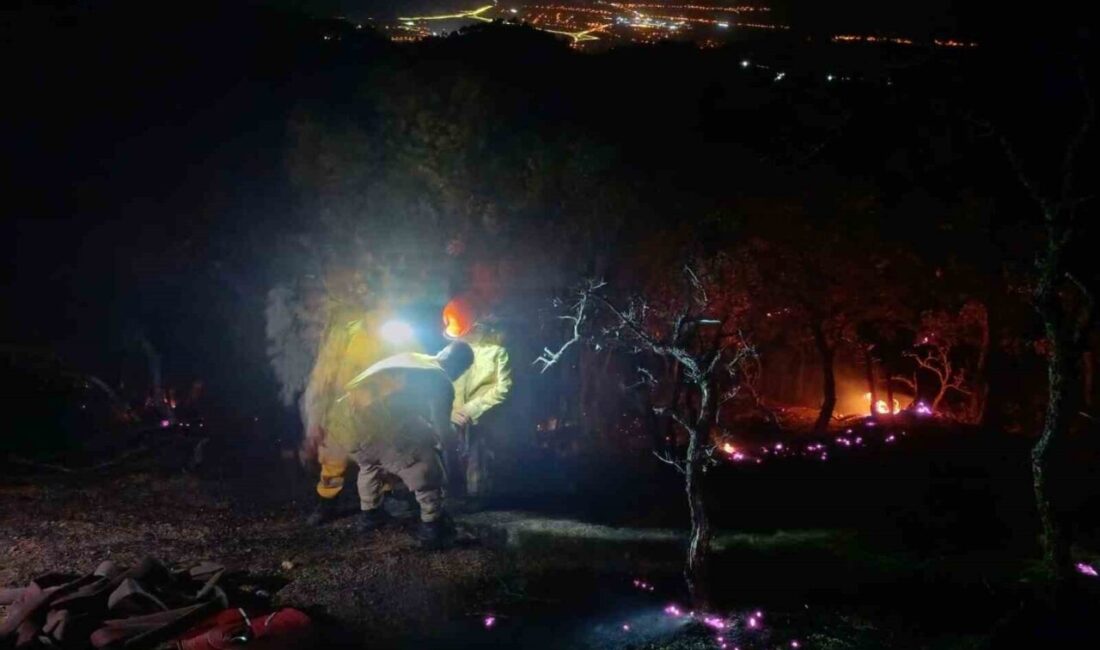 Denizli, Aydın il sınırındaki ormanlık alanda akşam saatlerinde çıkan orman
