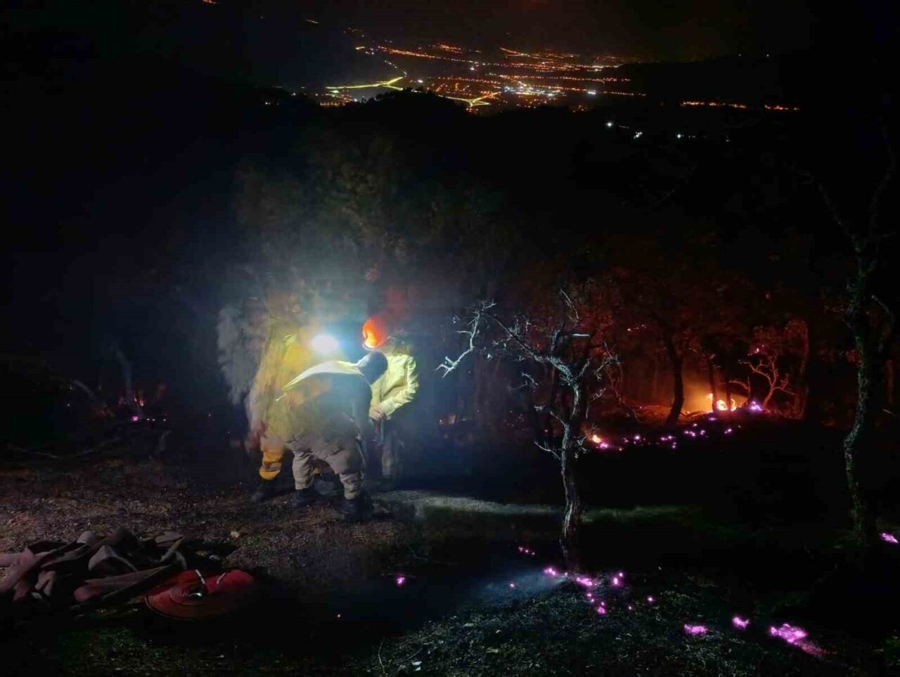 Denizli, Aydın il sınırındaki ormanlık alanda akşam saatlerinde çıkan orman