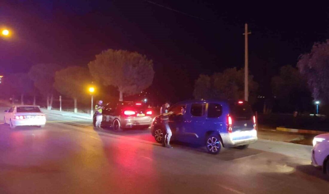 Aydın’da jandarma ekiplerince yapılan çalışmalarda iki günde toplam 17 aranan