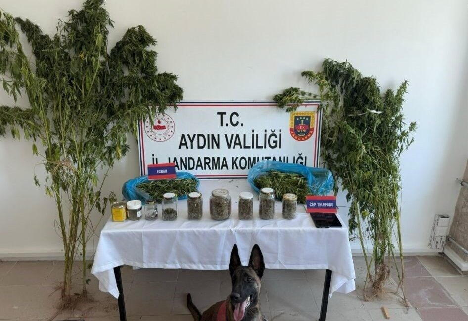 Aydın İl Jandarma Komutanlığı ekipleri, uyuşturucu ile mücadele kapsamında düzenledikleri