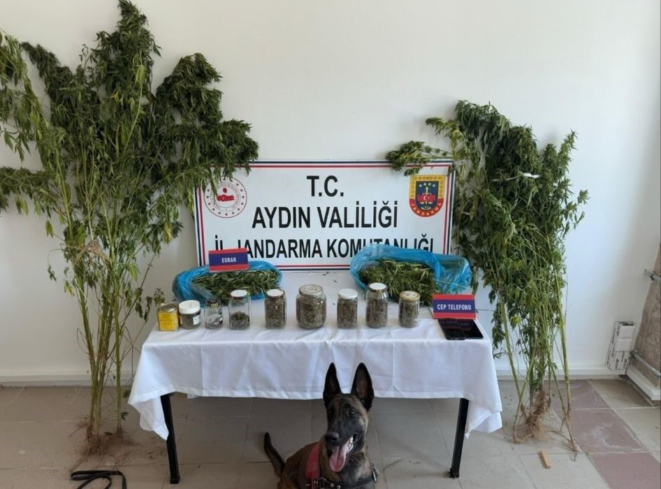Aydın İl Jandarma Komutanlığı ekipleri, uyuşturucu ile mücadele kapsamında düzenledikleri