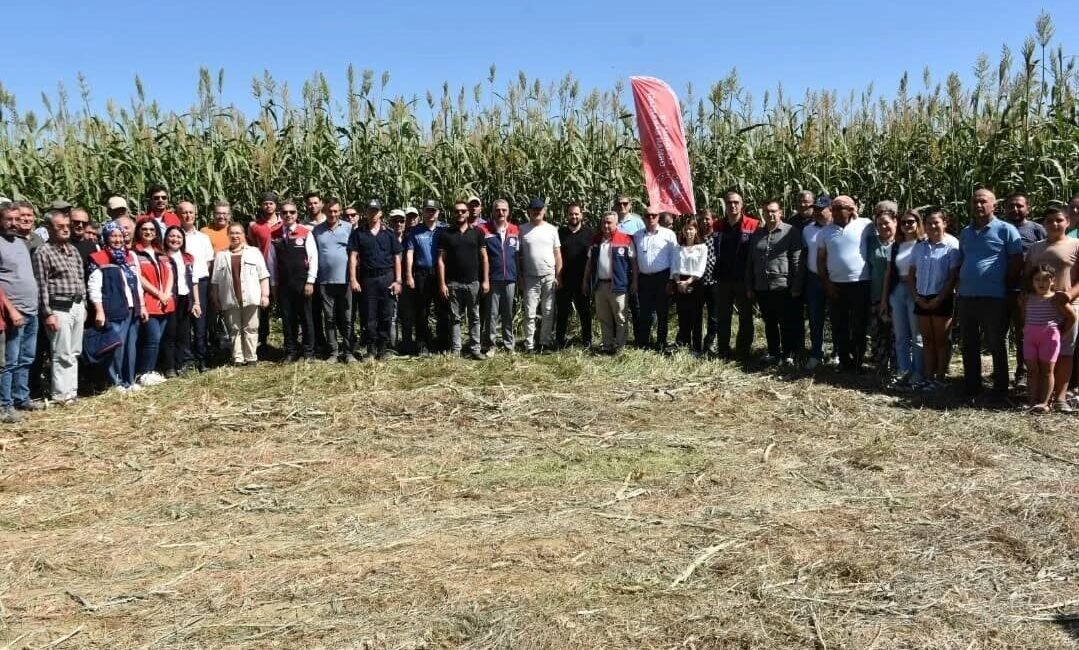 Aydın’da ’Tarım Arazilerinin Kullanımının Etkinleştirilmesi Projesi’ kapsamında hayata geçirilen ’Sorgum
