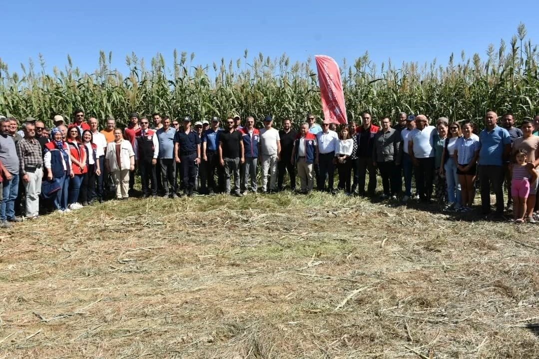 Aydın’da ’Tarım Arazilerinin Kullanımının Etkinleştirilmesi Projesi’ kapsamında hayata geçirilen ’Sorgum
