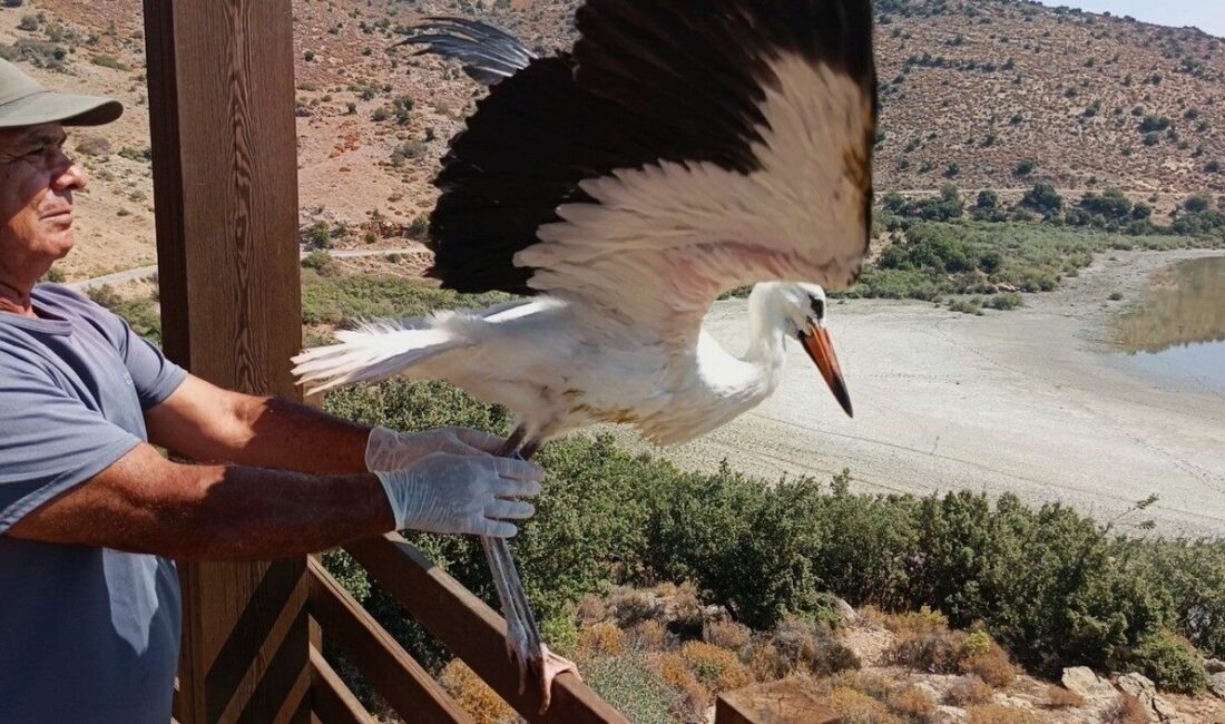 Ekosistemi Koruma ve Doğa Sevenler Derneği (EKODOSD) tarafından yapılan çalışmalar