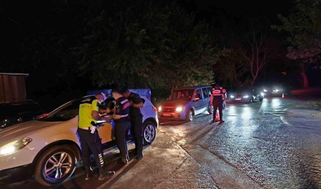 Aydın’ın Efeler ilçesinde jandarma ekiplerince yapılan ’Sıcak Nokta’ uygulamasında 476