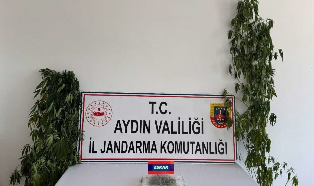 Aydın İl Jandarma Komutanlığı, uyuşturucu satıcıları ve kullanıcılarına yönelik gerçekleştirdiği