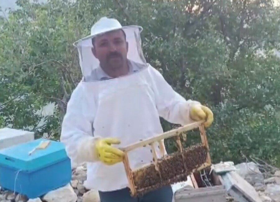 Kahramanmaraş’ta bal üreticisinin kovanlarına ayı saldırması sonucu 10 adet kovan