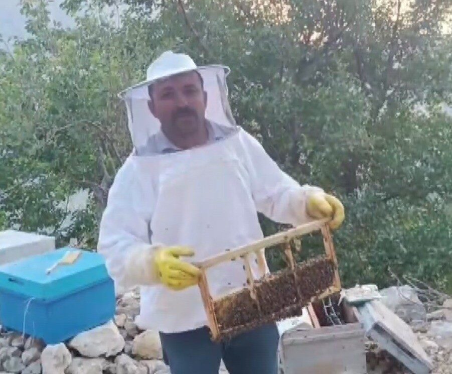 Kahramanmaraş’ta bal üreticisinin kovanlarına ayı saldırması sonucu 10 adet kovan