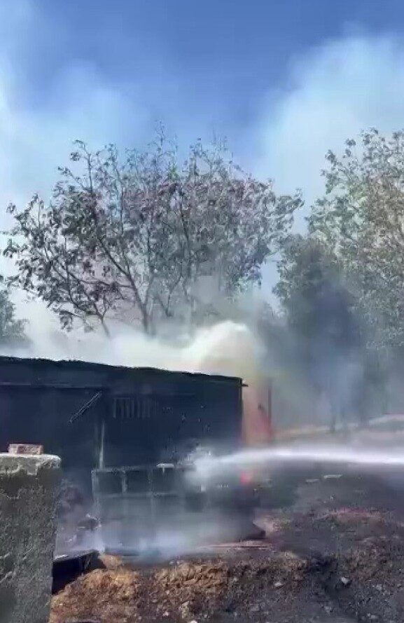 Kocaeli’nin Derince ilçesinde ağaçlık alanda çıkan yangına itfaiye ekipleri müdahale