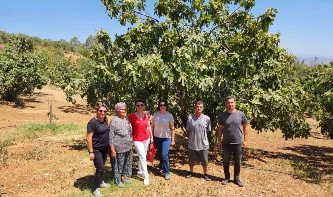 Türkiye ve Avrupa Birliği Coğrafi İşaret tescilli Aydın Ticaret Odası’na