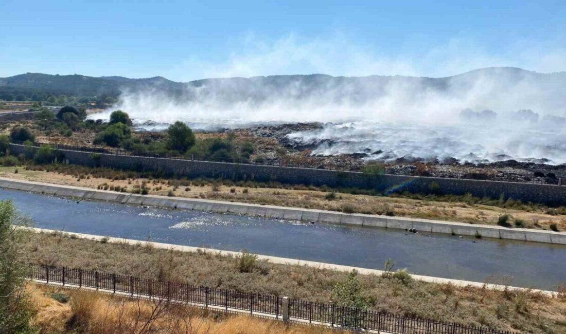 Çanakkale’nin Ayvacık ilçesinde çöplük alanda başlayarak ormanlık alana sıçrayan yangın