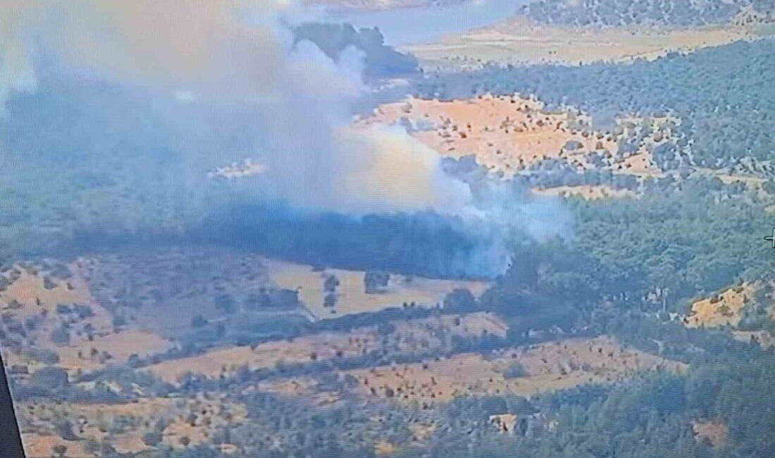 Çanakkale’nin Ayvacık ilçesinde çıkan orman yangınına Orman Bölge Müdürlüğü ekipleri