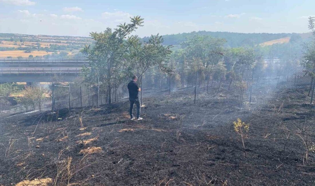 Kırklareli’nin Babaeski ilçesinde ağaçlık alanda çıkan yangın, itfaiye ekiplerinin müdahalesiyle