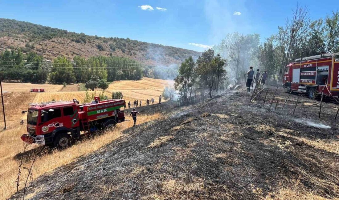 Karabük’ün Eflani ilçesinde çıkan bahçe yangını ekiplerin hızlı müdahalesiyle evlere