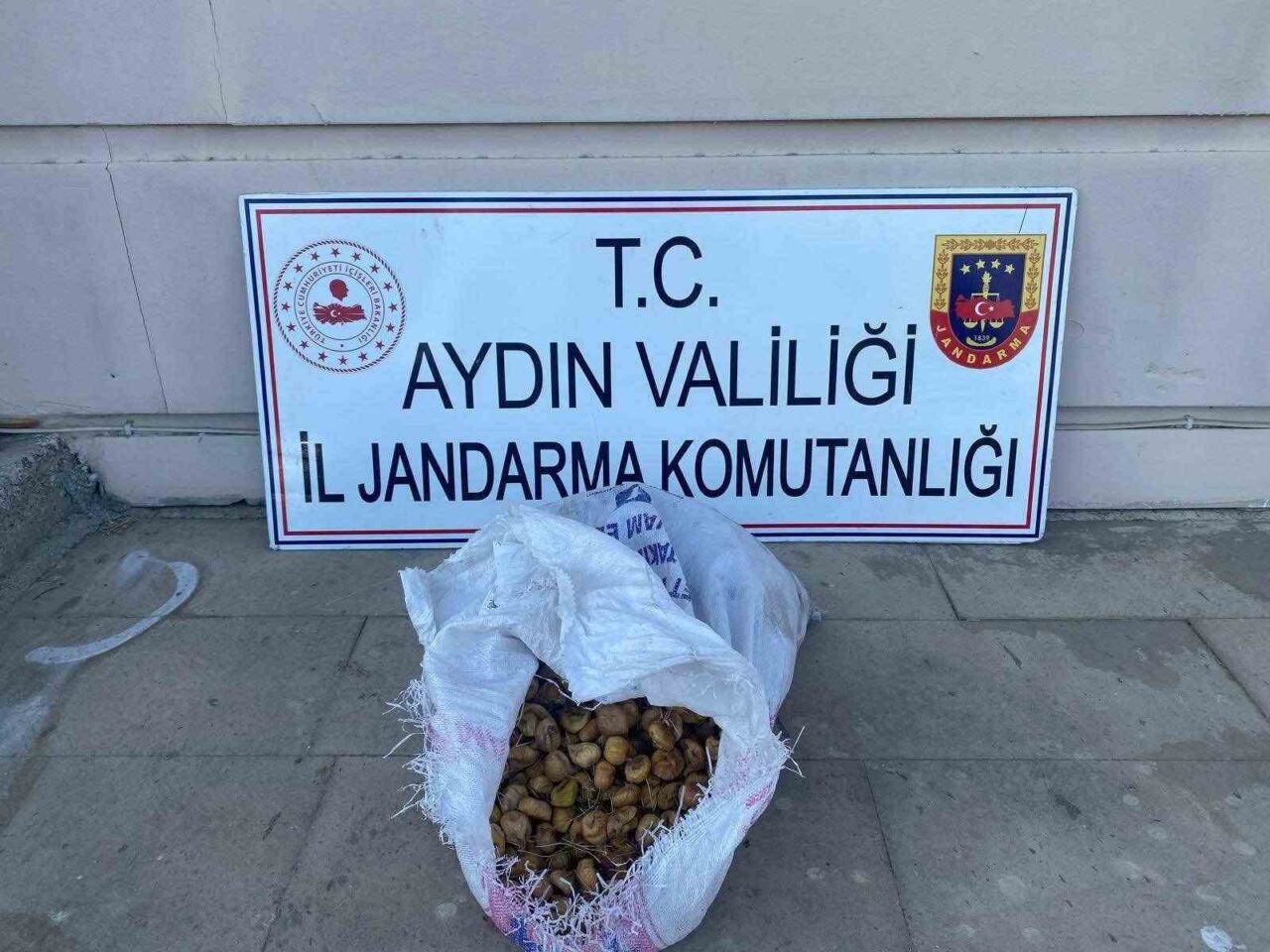 Aydın’ın İncirliova ilçesinde bahçeden 50 kilo inciri çalan 3 şüpheli,