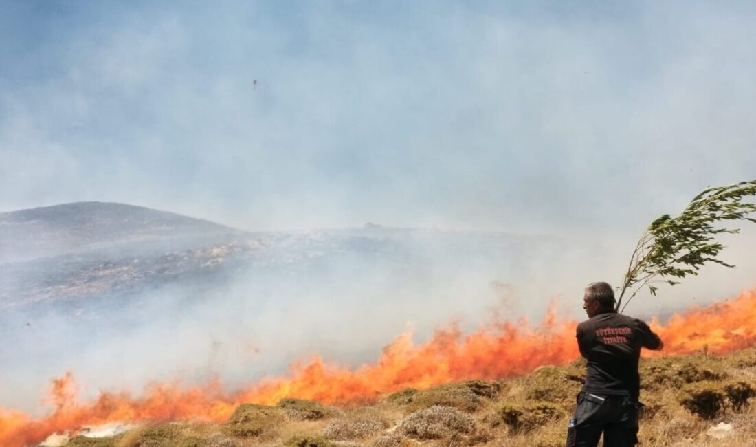 Van’ın Bahçesaray ilçesinde dik arazide çıkan yangın, itfaiye ve mahalle