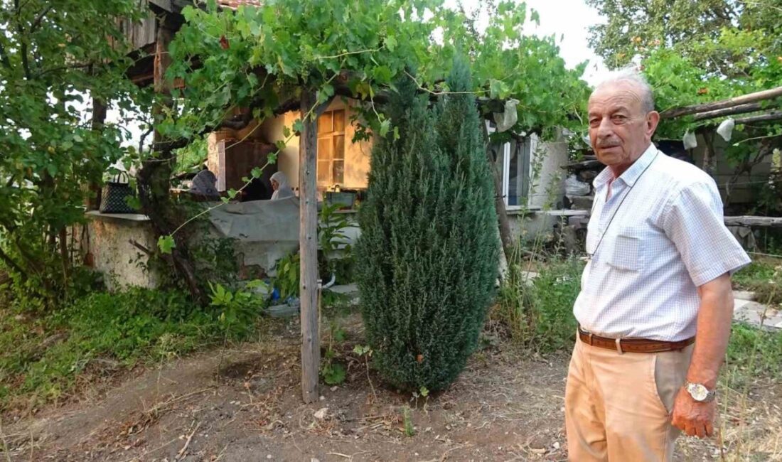 Kütahya’nın Tavşanlı ilçesine 7 kilometre uzaklıktaki Devekayası köyünde bahçesi bulunan