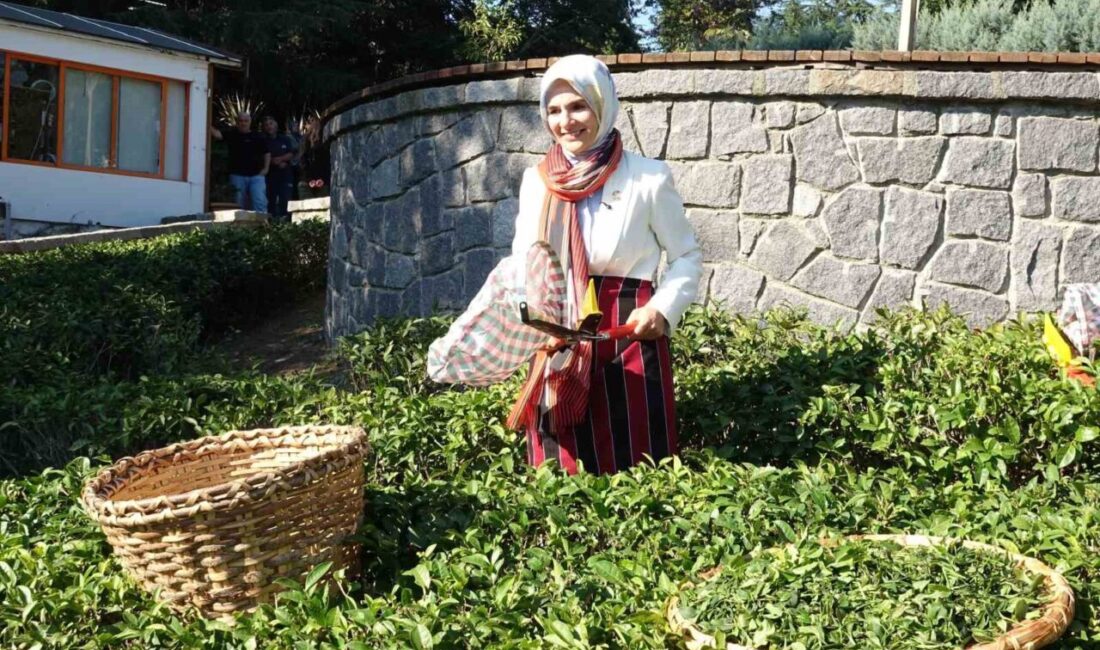 Aile ve Sosyal Hizmetler Bakanı Mahinur Özdemir Göktaş, “Aile bizim