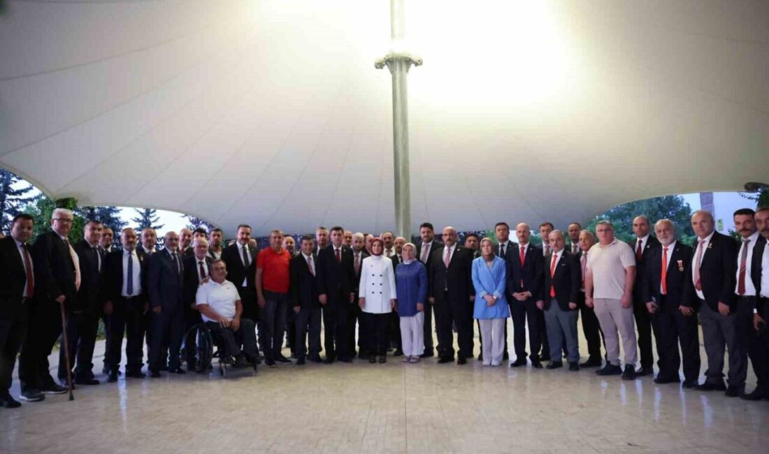 Aile ve Sosyal Hizmetler Bakanı Mahinur Özdemir Göktaş, Türkiye Harp