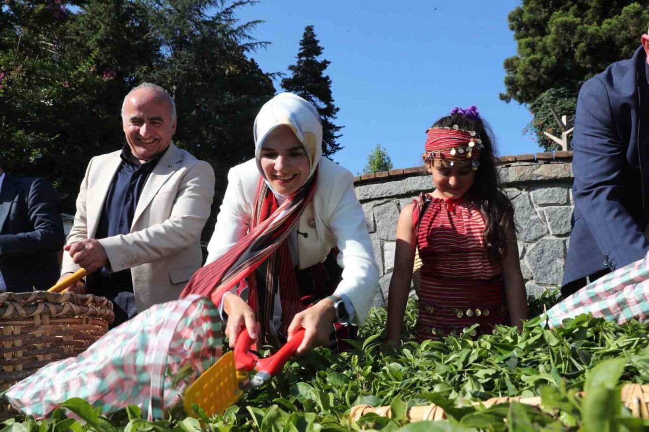 Aile ve Sosyal Hizmetler Bakanı Mahinur Özdemir Göktaş, ‘Aile Yılı’
