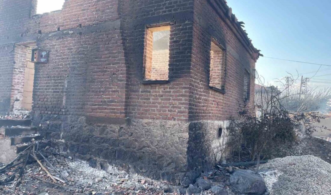 Çanakkale’nin Bayramiç ilçesinde çıkan orman yangın sonrasında ekipler bölgede hasar