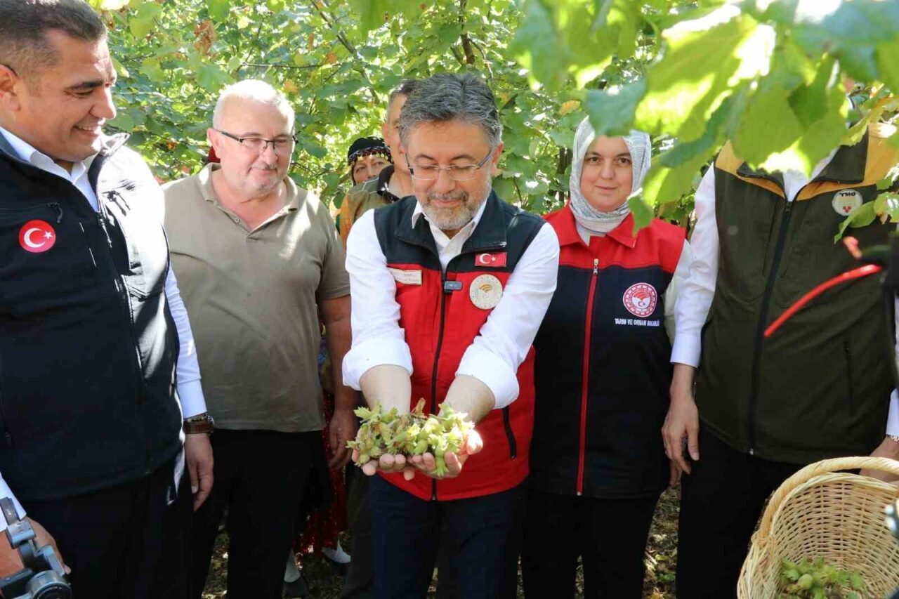 Düzce’de düzenlenen Fındık Hasat Şenliği’ne katılan Tarım ve Orman Bakanı