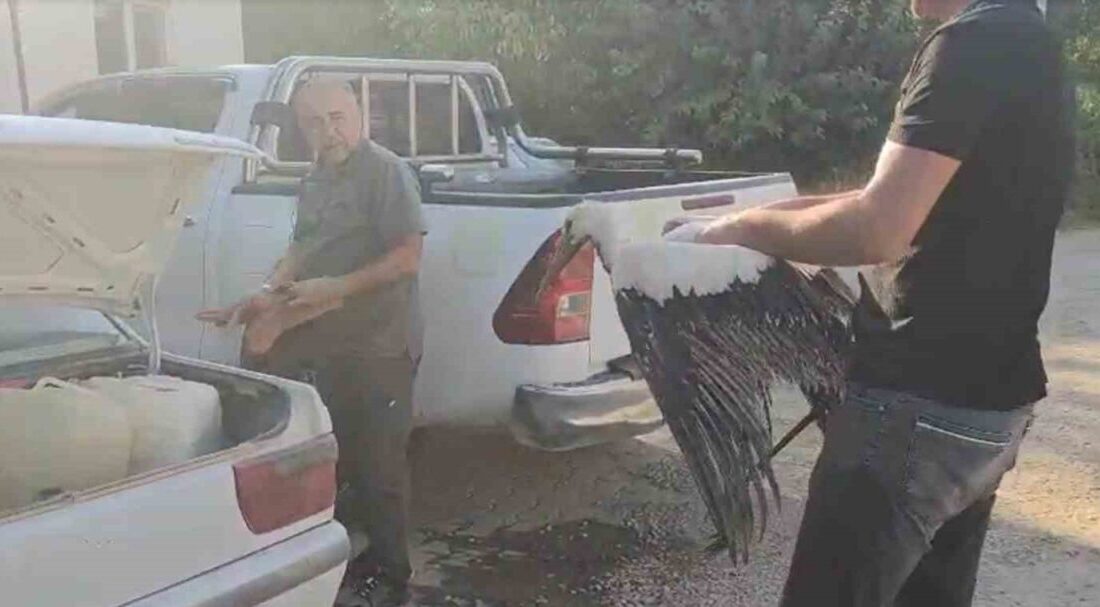 Denizli’de Işıklı Gölünde balçığa saplanan leylek, avlamak için göle açılan