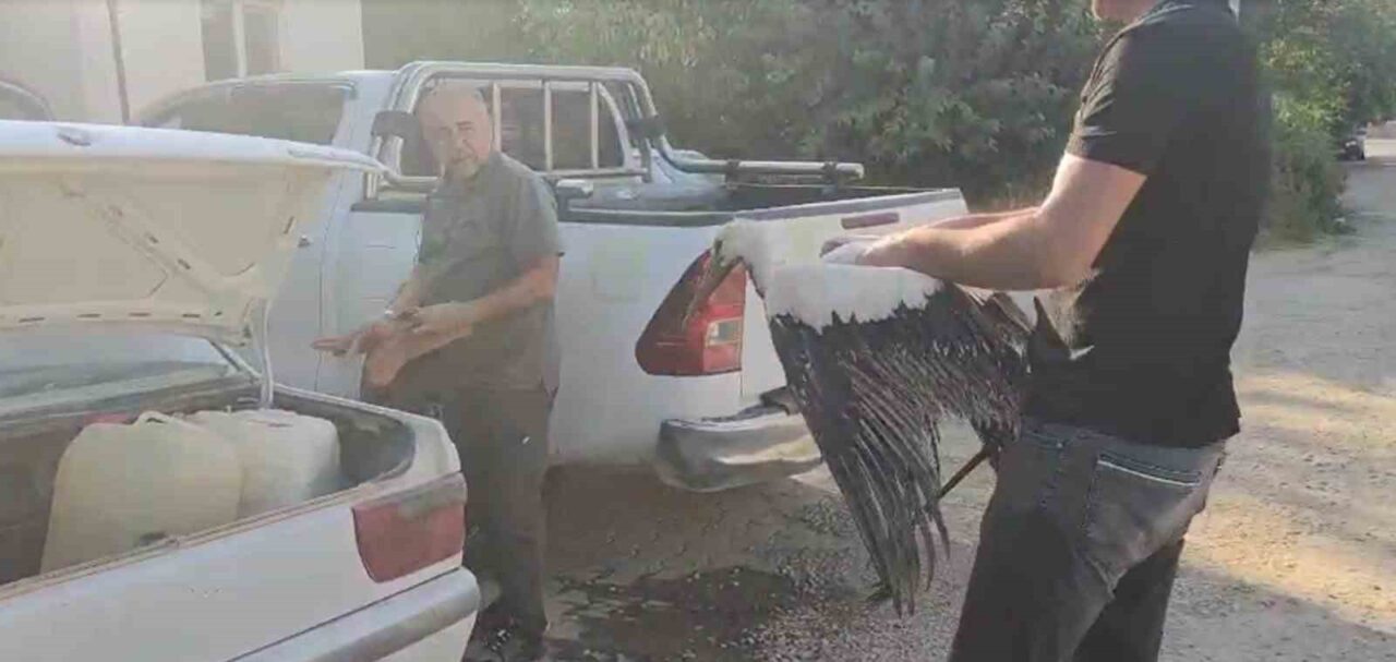 Denizli’de Işıklı Gölünde balçığa saplanan leylek, avlamak için göle açılan