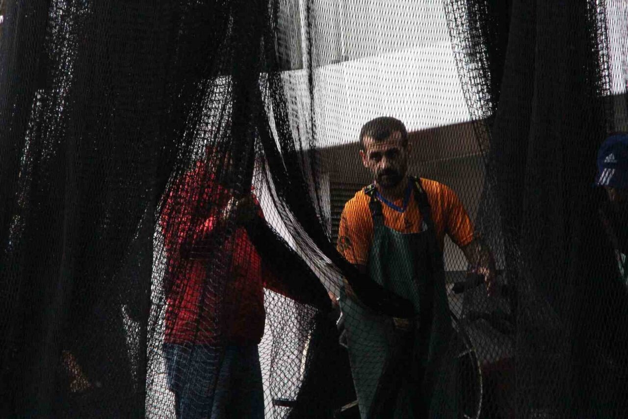 Türkiye’de denizlerde av yasağının sona ermesiyle balıkçılar 1 Eylül gecesi