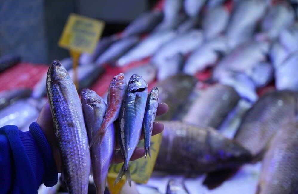 Tarım ve Orman Bakanlığı Balıkçılık ve Su Ürünleri Genel Müdürü Turgay